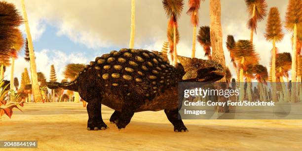 ankylosaurus dinosaur in a cretaceous forest. - ankylosaurus stock illustrations