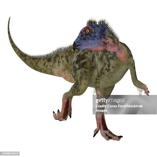 Hypsilophodontidae Photos and Premium High Res Pictures Getty Images