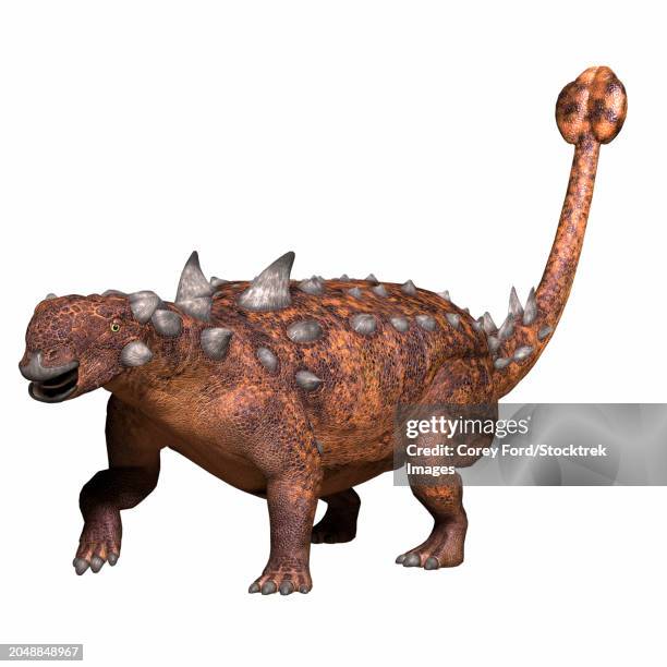 euoplocephalus armored dinosaur, side view on white background. - euoplocephalus stock illustrations