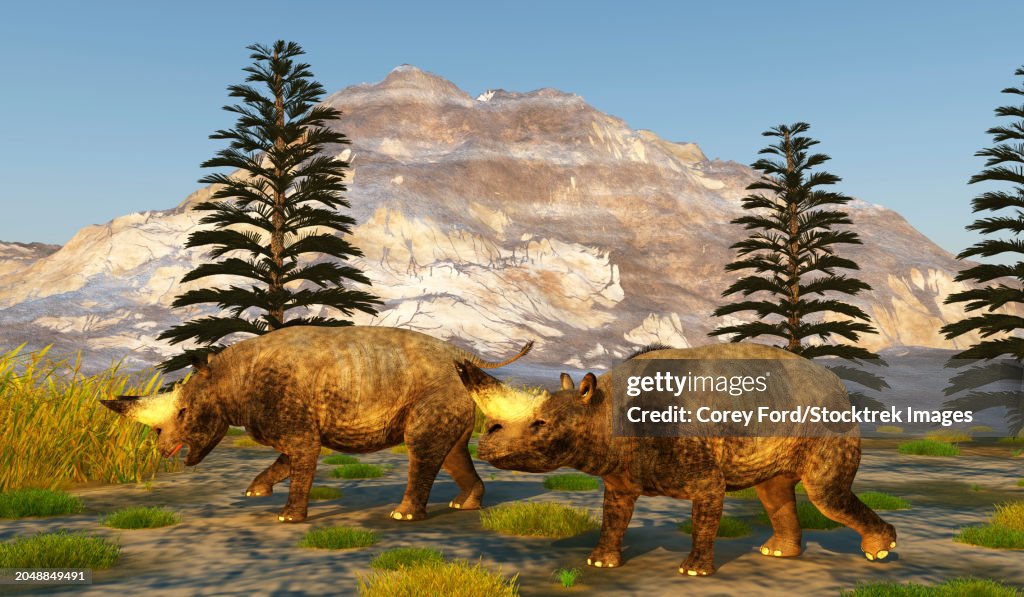 Prehistoric Arsinoitherium mammals roaming among Walchia trees
