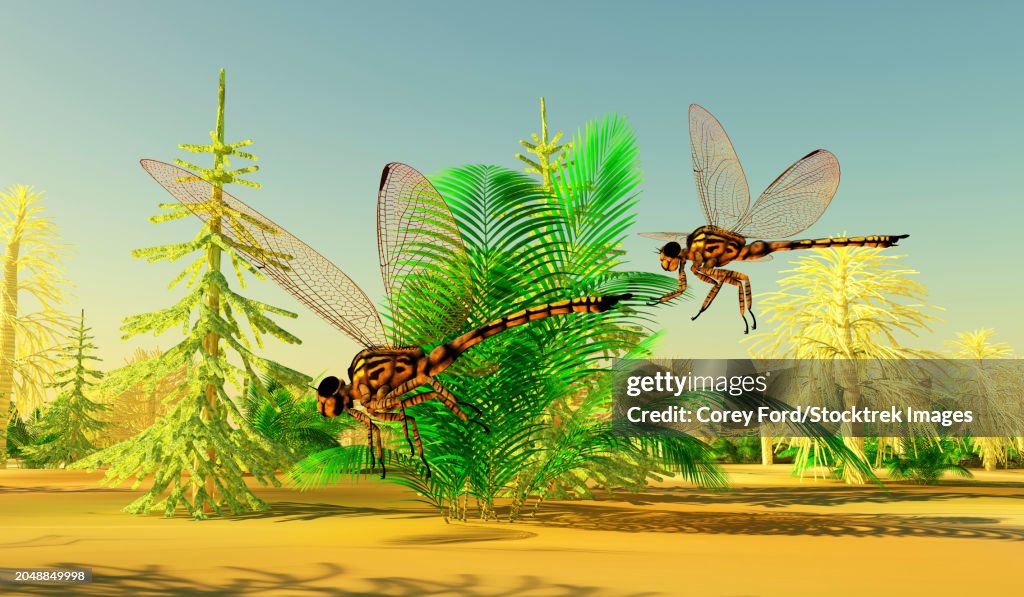 Meganeura insects of the Carboniferous Period