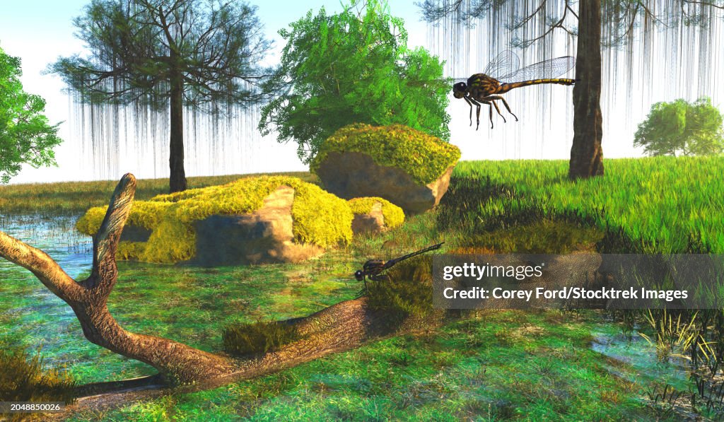 Meganeura dragonflies hover around a pond during the Carboniferous Period