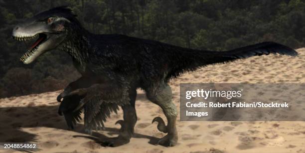 Bob Utah Raptor 163 Utahraptor Stock Photos, High-Res Pictures, and Images - Getty Images
