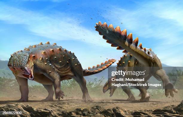 two stegouros elengassen dinosaurs fighting - ankylosaurus stock illustrations