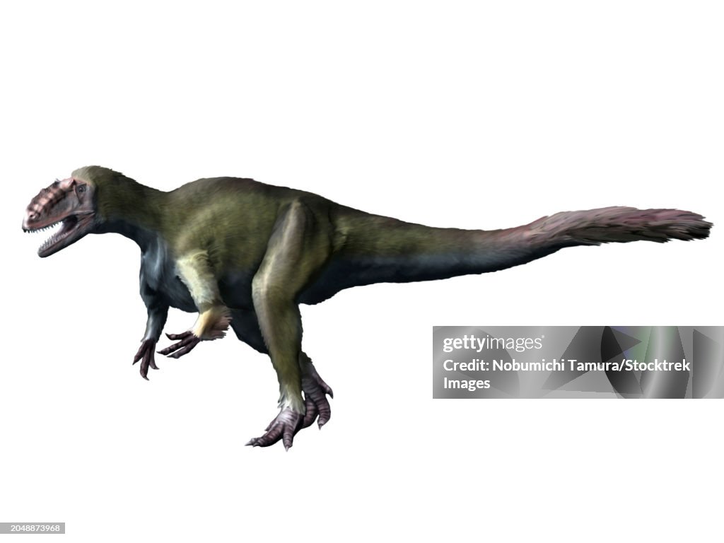 Yutyrannus dinosaur, from the Early Cretaceous of China