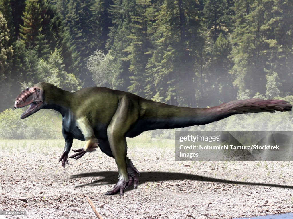 Yutyrannus dinosaur, from the Early Cretaceous of China