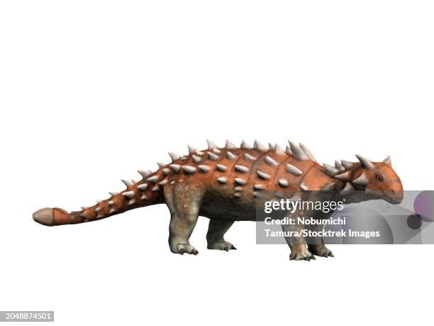 scolosaurus, an ankylosaurid dinosaur, side view on white background - ankylosaurus stock illustrations