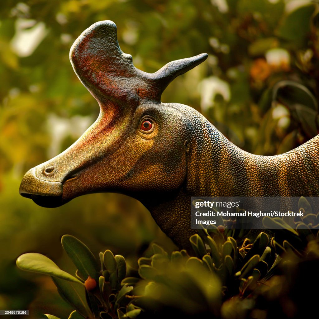 Lambeosaurus portrait
