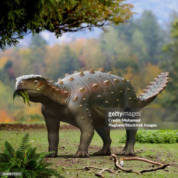 stegouros elengassen dinosaur roaming in the forest - ankylosaurus stock illustrations
