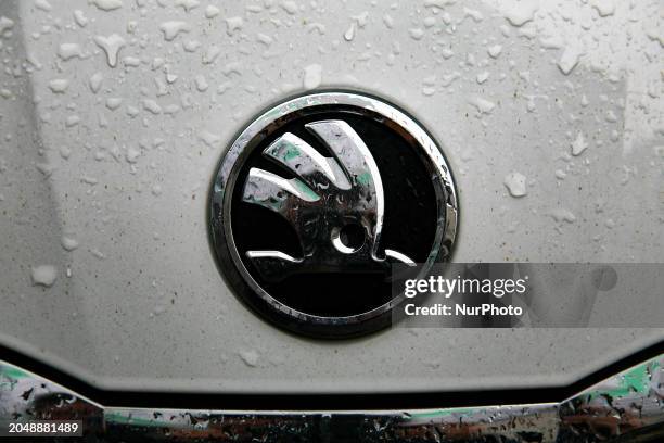 The Skoda logo is being seen in the rain on a city street in Krakow, Poland, on February 11.