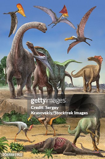 Dinosaur food chain Dinosaur food chain