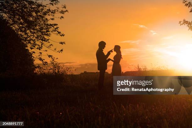 silhouette of a couple standing in a wheat field at sunset with the man touching the woman's nose, hungary - hungary countryside stock pictures, royalty-free photos & images