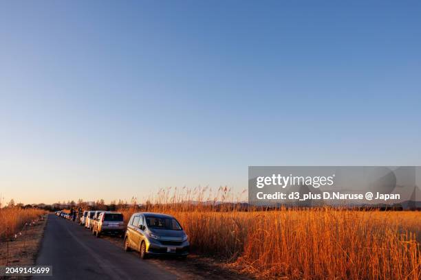 beautiful and vast reed beds at dusk and bird photographers waiting to shoot.

at watarase retarding basin, tochigi, japan,
ramsar convention registered site.
photo by february 12, 2024. - 栃木県 stock pictures, royalty-free photos & images