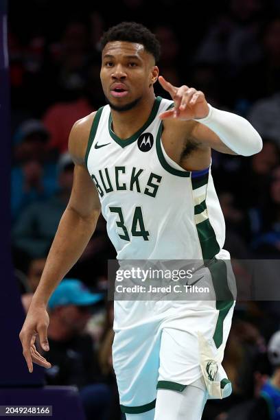 Giannis Antetokounmpo of the Milwaukee Bucks reacts following a basket during the first half of the game against the Charlotte Hornets at Spectrum...