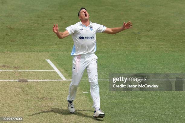 Chris Tremain of the Blues reacts during the Sheffield Shield match between New South Wales Blues and South Australia Redbacks at Cricket Central on...