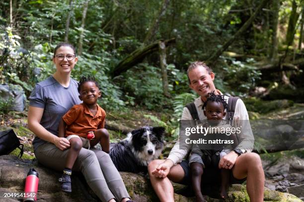 portrait of a young family enjoying a picnic in the forest - collie stock pictures, royalty-free photos & images