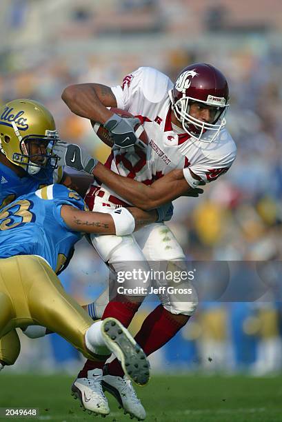139 Jerome Riley Stock Photos, High-Res Pictures, and Images - Getty Images