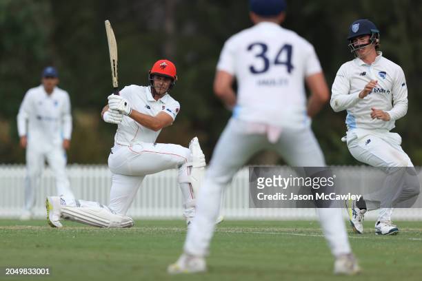 Spencer Johnson of the Redbacks bats during the Sheffield Shield match between New South Wales Blues and South Australia Redbacks at Cricket Central...