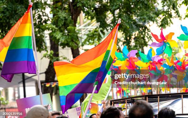 pride month and parade-people marching with the rainbow lgbtq+ flag - regenbogenfahne stock-fotos und bilder