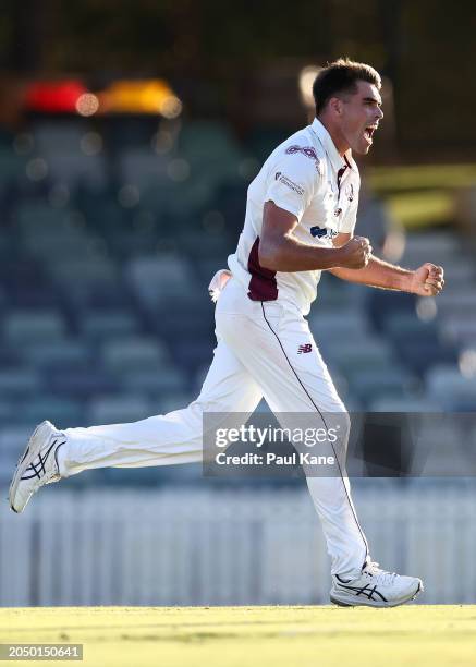 Xavier Bartlett of Queensland celebrates the wicket of Cameron Gannon of Western Australia during the Sheffield Shield match between Western...