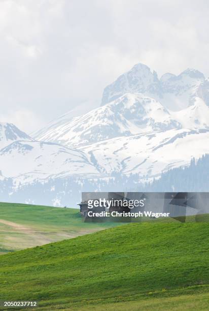 gebirgslandschaft, berghütte - alpen berghütte bildbanksfoton och bilder