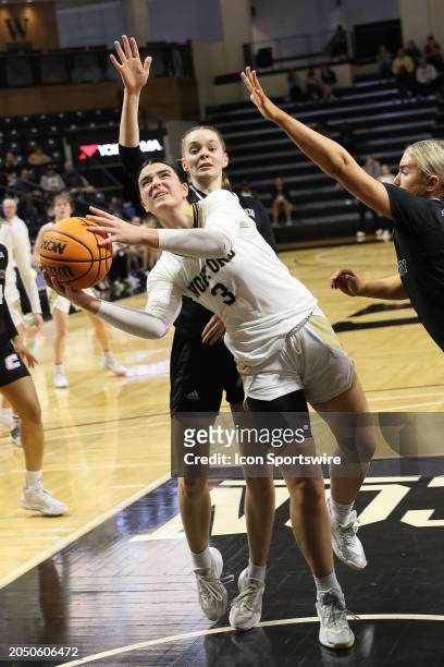Wofford Terriers guard Evangelia Paulk during a women's college basketball game between the Chattanooga Mocs and the Wofford Terriers on March 2,...