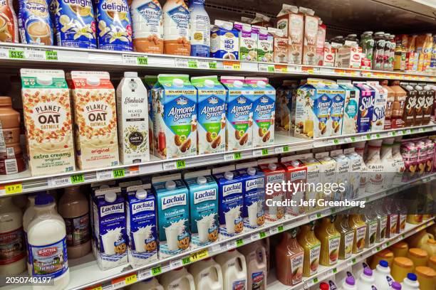 Miami Beach, Florida, Normandy Isle, Bay Supermarket, refrigerated dairy case, plant based non dairy substitute milk containers, Planet Oat Almond...