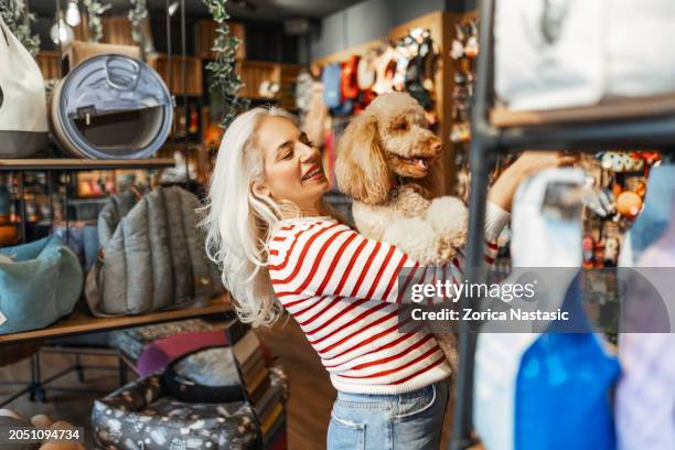sweet selections - pet shop stock pictures, royalty-free photos & images