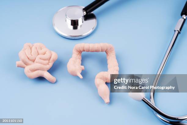 stethoscope, small and large intestine on blue background - colonoscopy stock pictures, royalty-free photos & images