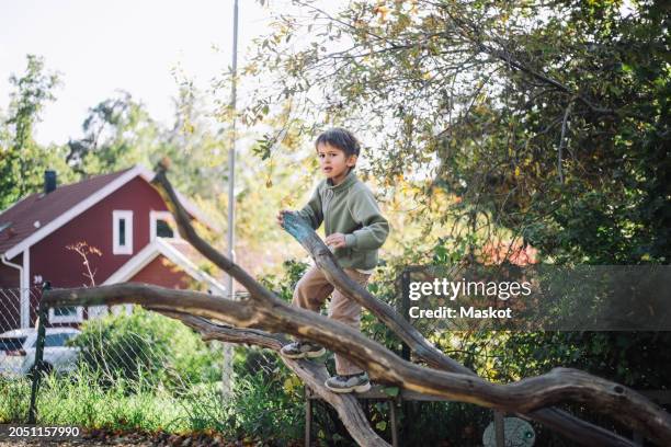 carefree boy climbing on tree branch at park - stockholm park stock pictures, royalty-free photos & images