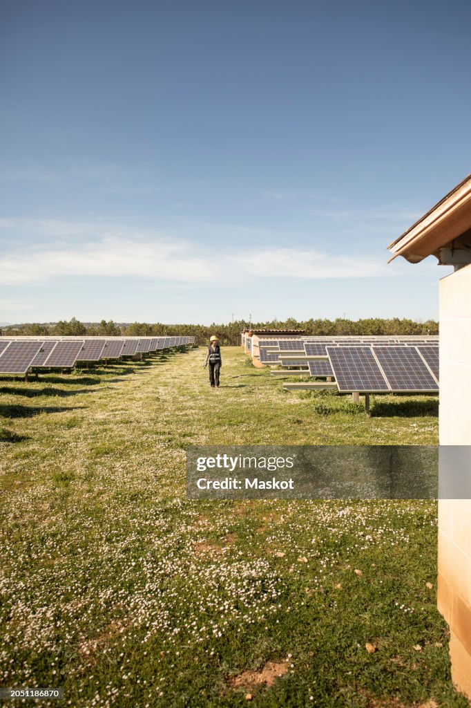 Female engineer walking on grass amidst solar panels at power station
