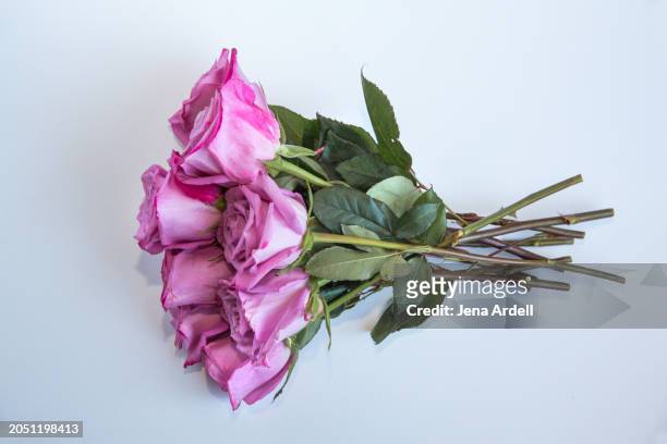 flowers isolated background, roses isolated background, bouquet of roses - jena rose foto e immagini stock