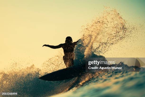 morning surfing session - prancha de surf imagens e fotografias de stock