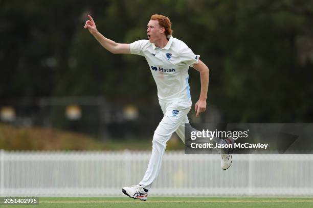 Jake Nisbet of the Blues reacts during the Sheffield Shield match between New South Wales Blues and South Australia Redbacks at Cricket Central on...