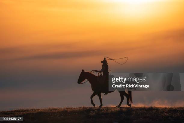 winter ranch horse riding - cowboy hat silhouette stock pictures, royalty-free photos & images