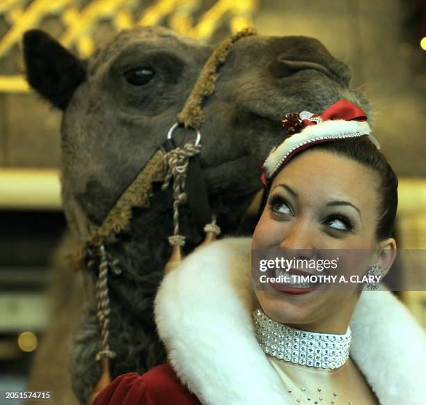 Rockette Erin Monteleone poses with a camel at Radio City Music Hall October 29, 2009 . Camels, donkeys and sheep posed with the Rockettes as they...