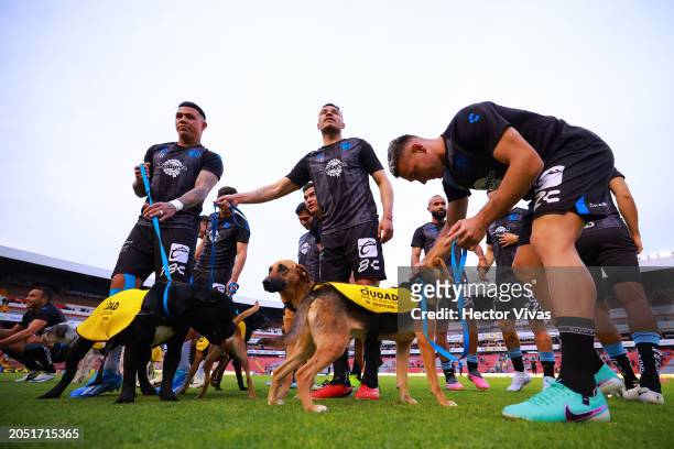Brayton Vazquez, Pablo Barrera and Martin Rio of Queretaro enter the field with dogs supporting a pet adoption campaign during the 10th round match...