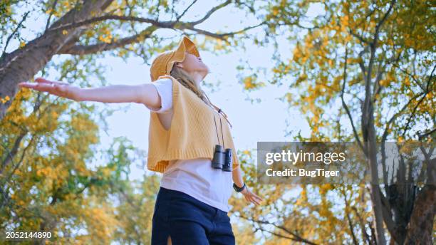 nature is beautiful stock photo. - eco tourism thailand stock pictures, royalty-free photos & images