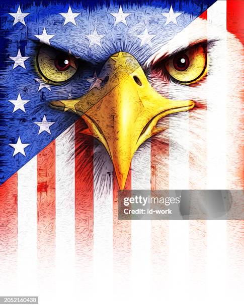 bald eagle with usa flag - bald eagle american flag stock illustrations