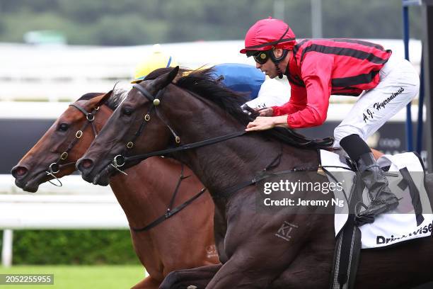 Adam Hyeronimus riding Tropical Squall wins Race 8 Drinkwise Surround Stakes during TAB Verry Elleegant Stakes Day - Sydney Racing at Royal Randwick...