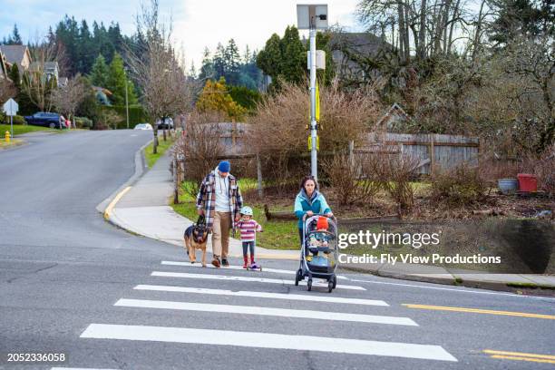 family with young kids crossing the street at a crosswalk - couple crossing street stock pictures, royalty-free photos & images