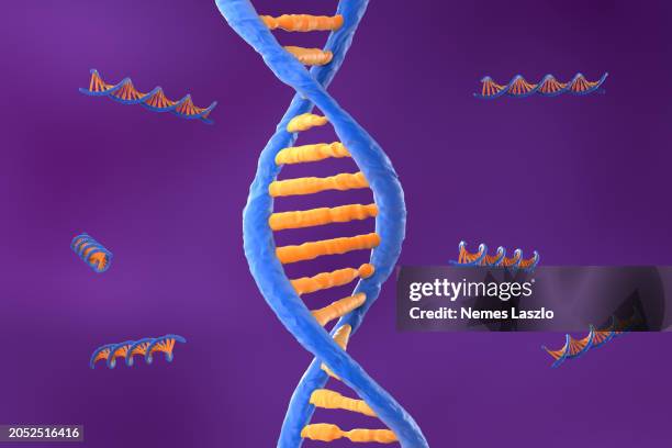 dnaDNA molecule with the double polynucleotide spiral - isometric view 3d illustration