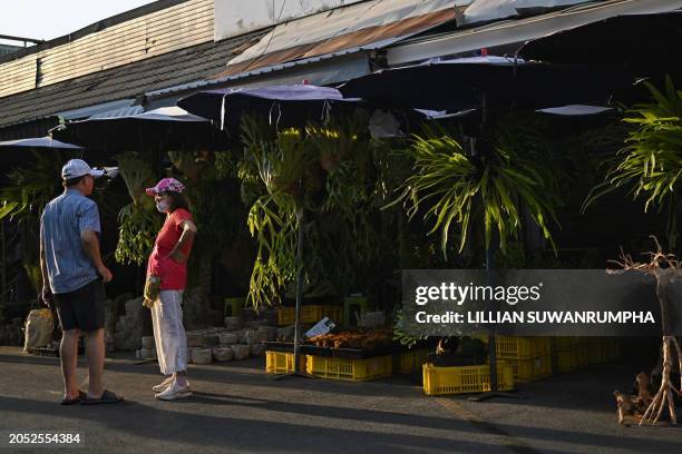 People stand near staghorn fern plants at Chatuchak Market in Bangkok on March 5, 2024.