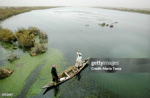 Marsh Arab guides his boat through a marsh area that is slowly being re-flooded with water June 3, 2003 in Al-Fohud, Iraq. The Marsh Arabs have...