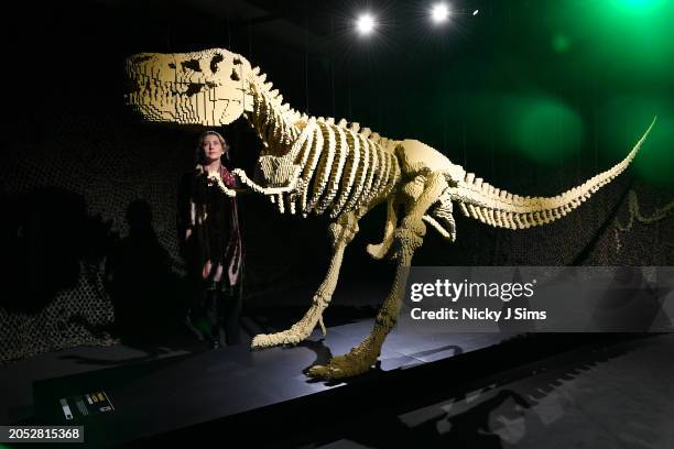 Six metre long lego brick sculpture of a Tyrannosaurus Rex skeleton is seen at the press preview ahead of the opening of "Art Of The Brick"...