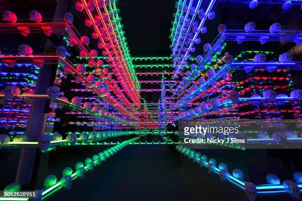 An immersive mirror hall with lego skulls is seen at the press preview ahead of the opening of "Art Of The Brick" exhibition at The Boiler House,The...