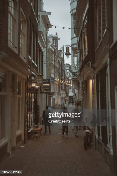 moody view of amsterdam street at early morning - amsterdam sunrise stock pictures, royalty-free photos & images
