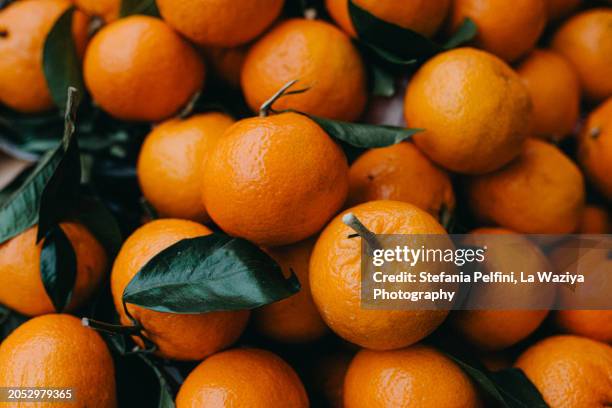 elevated view of lots of mandarin - orange peel texture stock pictures, royalty-free photos & images