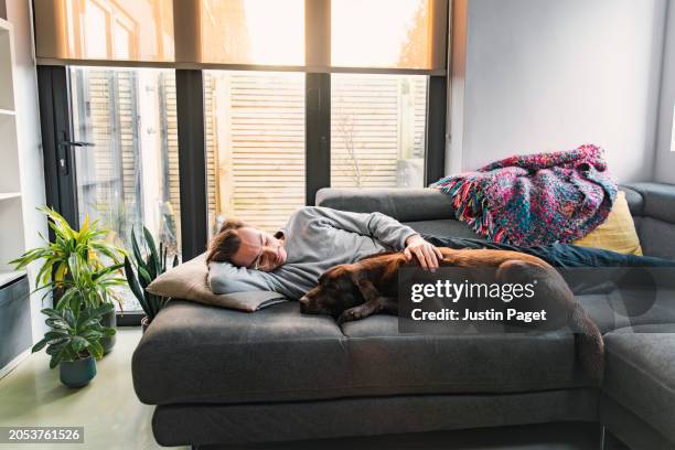shot of a non binary person lying on the sofa with  their chocolate labrador pet dog - thier stock pictures, royalty-free photos & images