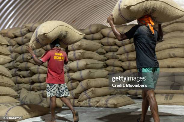 Workers load sacks of cocoa beans at a Ghana Cocoa Board warehouse in Tema, Ghana, on Monday, Oct. 23, 2023. Cocoa prices are at an all-time high as...